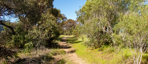 St Vincent Road Reserve