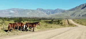 Valley of Grace, Western Cape